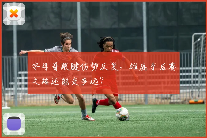 字母哥跟腱伤势反复，雄鹿季后赛之路还能走多远？